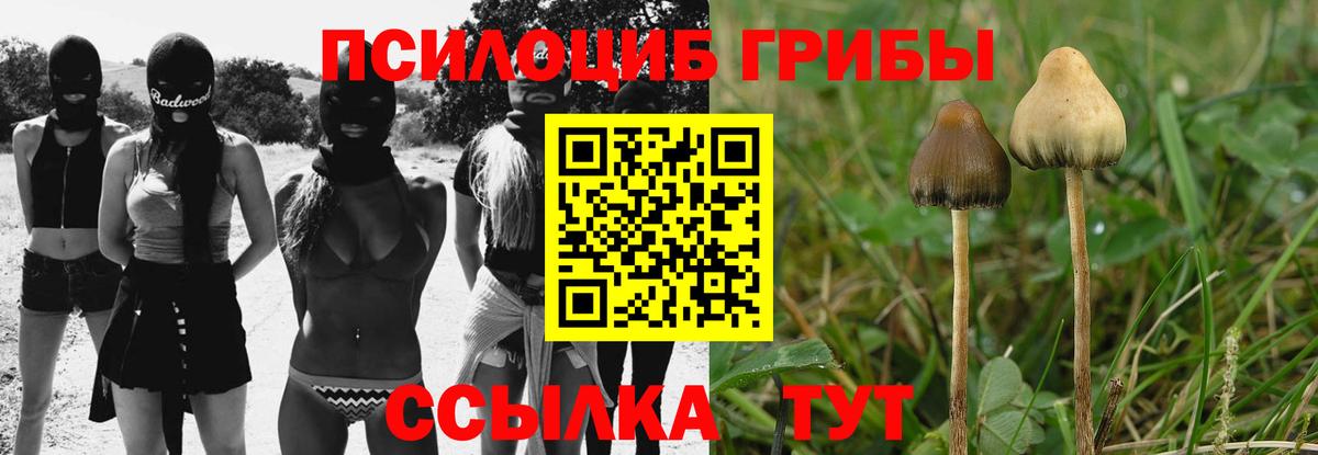 Галлюциногенные грибы MAGIC MUSHROOMS Троицк