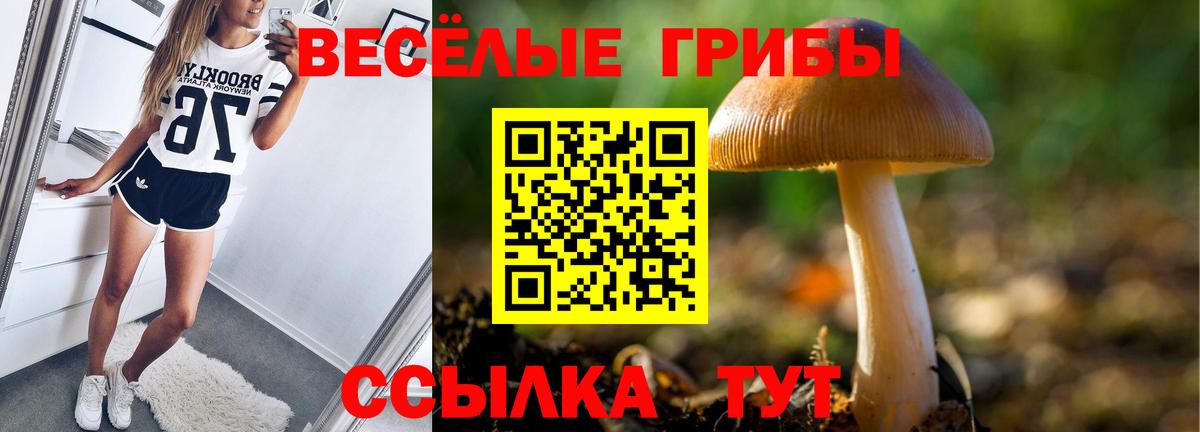 Псилоцибиновые грибы ЛСД  Вход с VPN  Троицк 